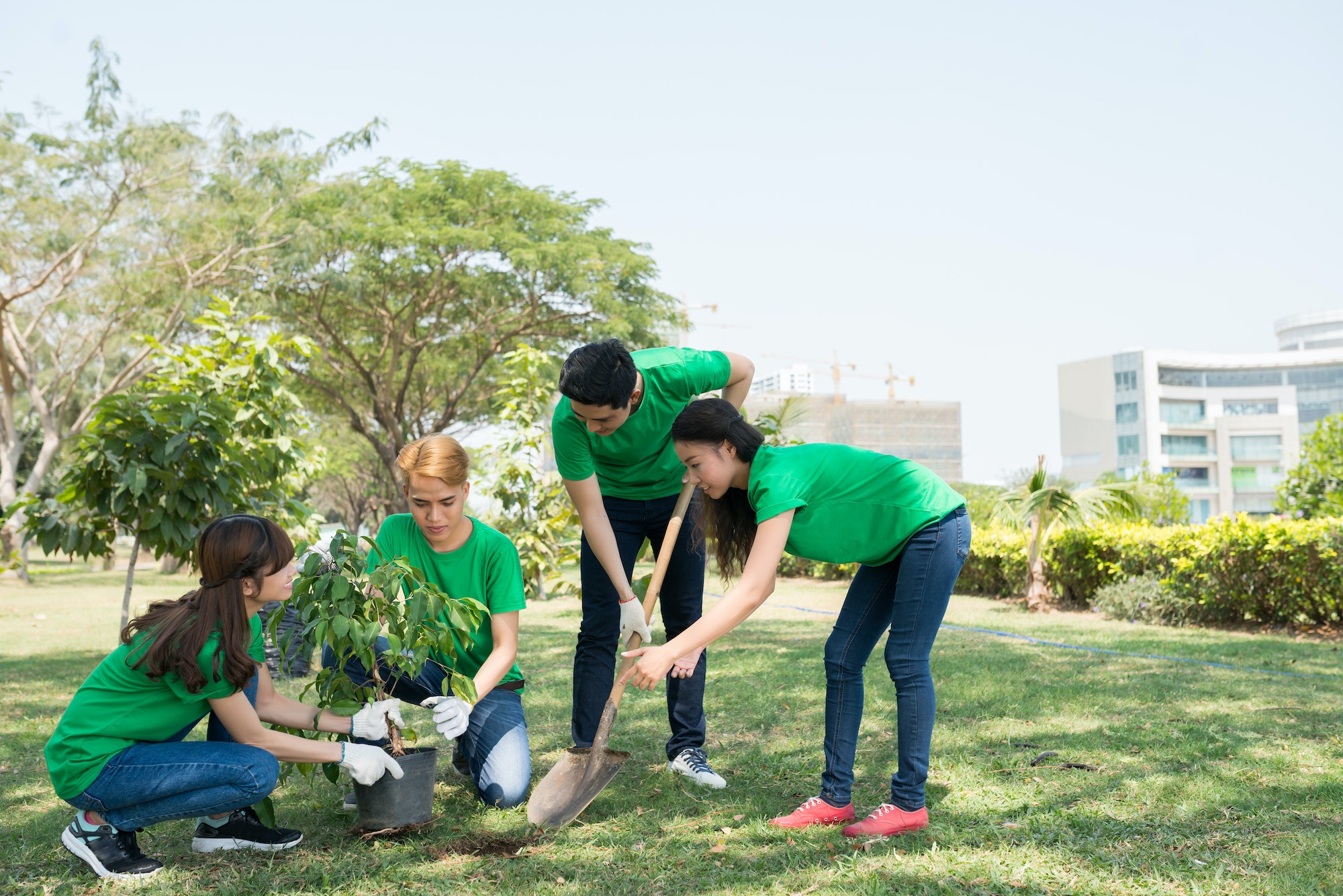 People planting trees